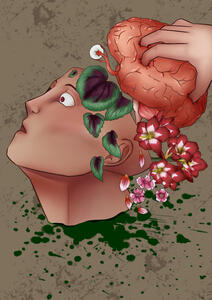 Dissection Series - Brain